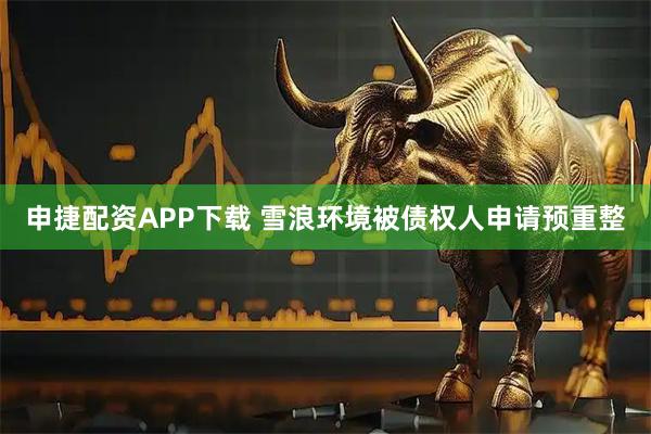 申捷配资APP下载 雪浪环境被债权人申请预重整